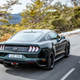 Illustration for article titled The Correct Configurations For The Pony Cars: 2019 Edition